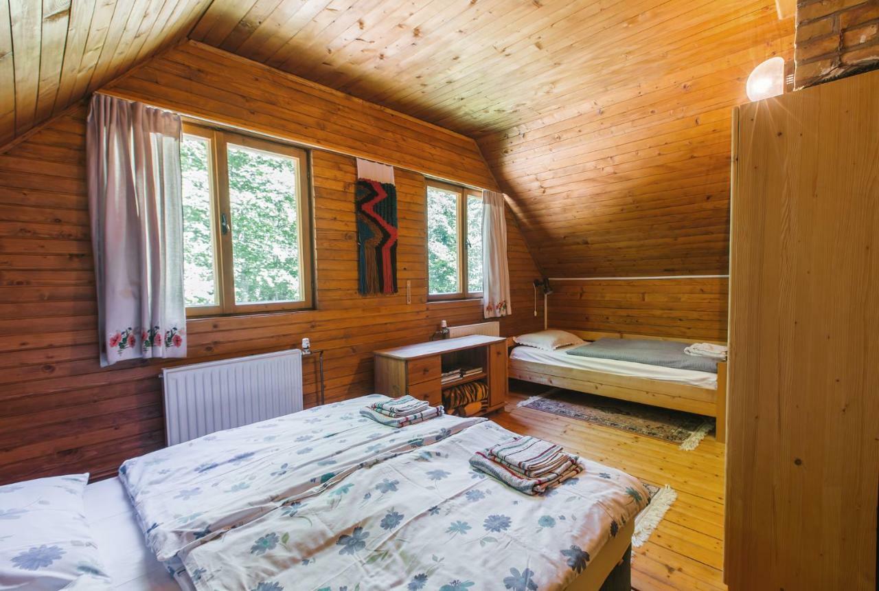Pocitniska Hisa Radovna Villa Zgornja Radovna Kültér fotó